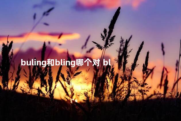 buling和bling哪个对 bling可以做英文名吗